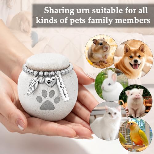 SOITIS Pet Urns for Cats Dog Urns for Ashes 2.76“ Pet Urn Ceramic Small Urn 2.76" Paw