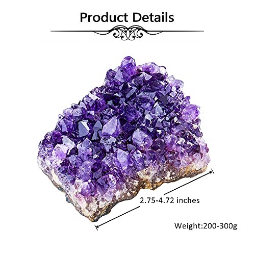Top Plaza Natural Amethyst Crystal Geode,Rock Stones Cluster 0.44-0.66 Lb