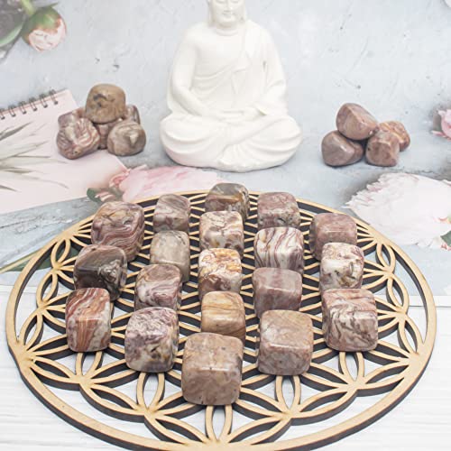 "Crocon 1LB Rosetta Jasper Tumbled Stones and Crystals Bulk 2000+ Carats Natural Crystal Kit for Reiki Healing Crystal Polished, Tumble Stones, Chakra Balancing, Reiki Gift, Home Decor Size : 20mm" 1 Pound Rosita jasper