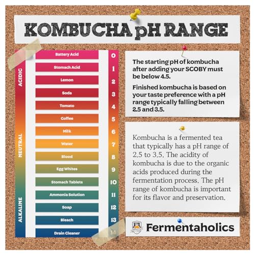 Fermentaholics Kombucha & Fermentation pH Test Strips – Instant Read pH Strips Dispenser for Brewing & Fermentation, pH Range 0–6 (pH Roll Dispenser) pH Test Roll