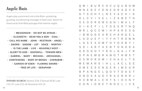 Jumbo Bible Word Search: Stimulate Your Mind and Grow in Faith