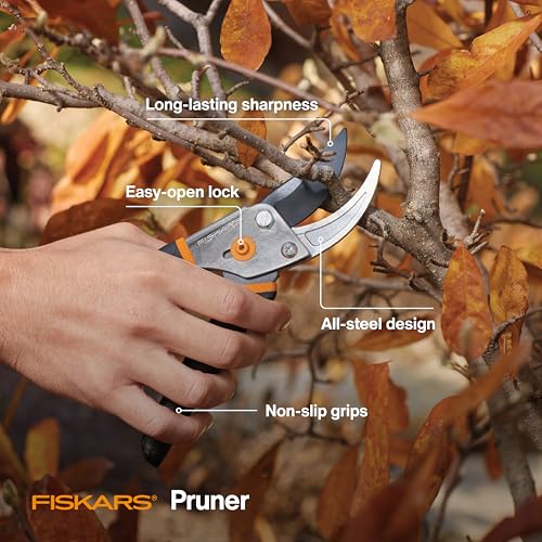 Fiskars 4-piece houseplant tool set with pruning shears, trowel, cultivator, and L/XL gardening gloves