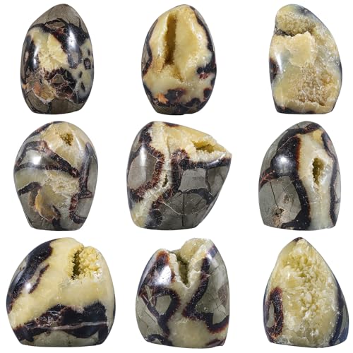 Natural Septarian Dragon Stone Geode Healing Crystal Geode Decor 0.66-0.88lb(301g-400g)