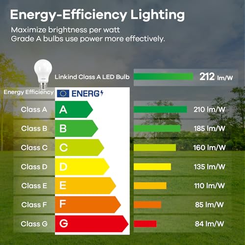 Linkind Ultra Efficient E27 Vintage Bulb, 3.8 W = 60 W, 2700 K Warm White with Energy Class A, Filament A60 Edison 806 Lm, 320° Beam Angle, Clear, Pack of 2 Warm White-60w 2 pieces