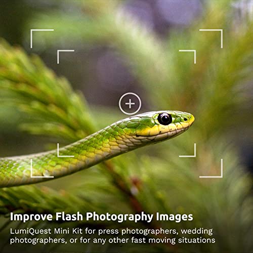 LumiQuest Photography Mini-Kit, Mini SoftBox, SoftScreen Flash Diffuser, UltraStrap, and Convenient Carrying Case Kit