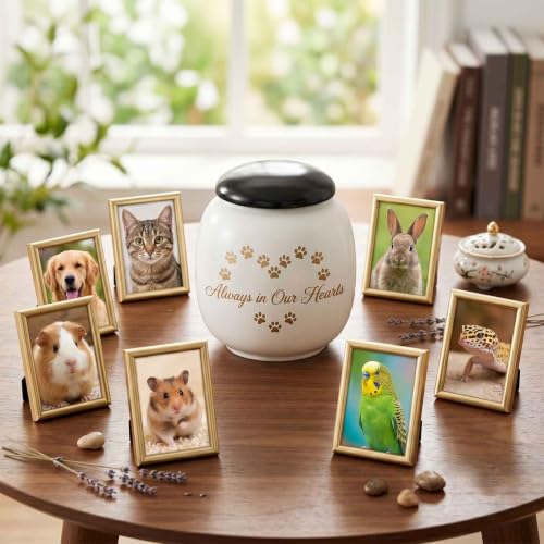 Pet Urn for Dog Cat Ashes, Always in Our Hearts Keepsake Urns Eternal Paw Hearts