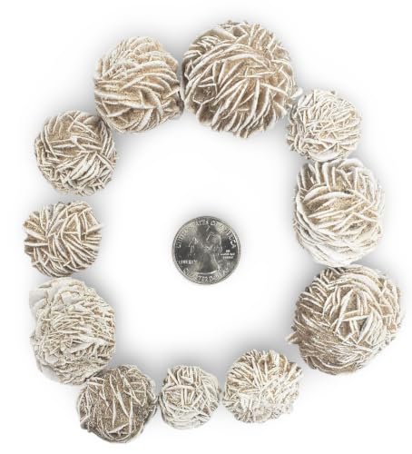 Natural Desert Rose Selenite Crystals Set (9-10 Pcs, 1/2 LB) – Raw Gypsum Healing Stones for Reiki, Chakra Balancing & Home Decor | Authentic Sand Rose Specimen Set