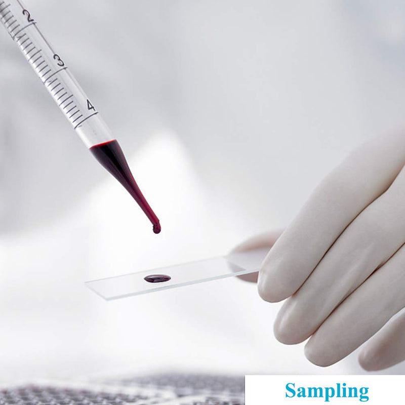 [Australia - AusPower] - 5PCS Thick Glass Graduated Dropper Pipettes Fluid and Liquid Pipettors 1ml 2ml 5ml 10ml 2PCS for Each with Caps and 2PCS Washing Brushes (33cm-13inch) 5 