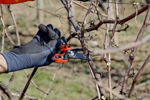 Bahco BAHPXR-M2 ERGO medium bypass pruning shears, 8-inch scissors with 3/4-inch cutting capacity
