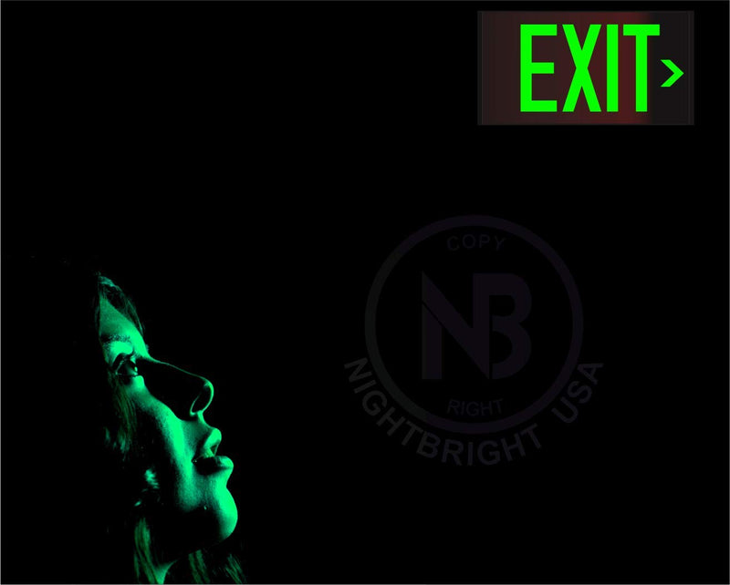 Photoluminescent Exit Sign with Holes and Hardware - Aluminum - UL 924 Code Approved/IBC/NFPA 101 - Made in USA | NightBright USA Part: ULR-050-HH