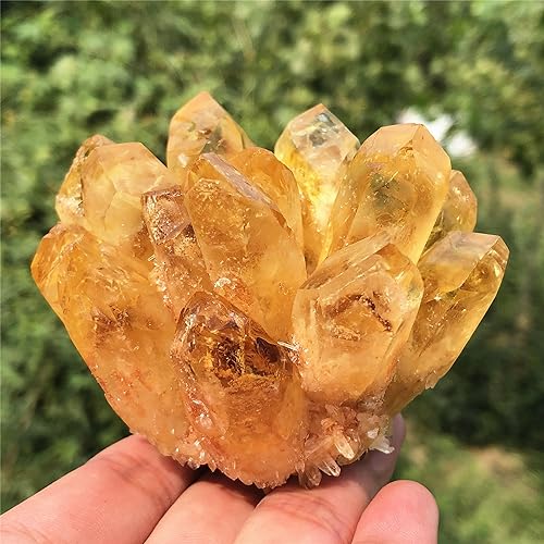 Citrine Quartz Cluster Reiki Healing Irregular Shape & Size Natural Crystal Point Mineral Crystal Specimen Home Decor (200~300g) 200~300g