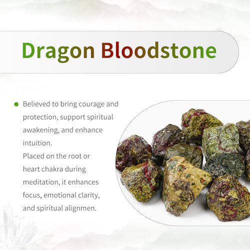 TUMBEELLUWA Natural Crystal Heart Pendant Necklace for Women Men dragon blood stone