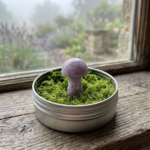 Amethyst Crystal Mushroom in Tin Box, Emotional Support Mushroom Spiritual Gifts for Women, Healing Crystals Home Decoration Gift Set