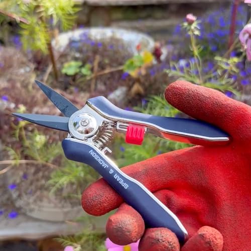 Spear & Jackson Razorsharp Mini Pruner Set for Small Garden Tasks and Bonsai Care, 2 Piece Precision Compact Lightweight Ergonomic Pruning Shears