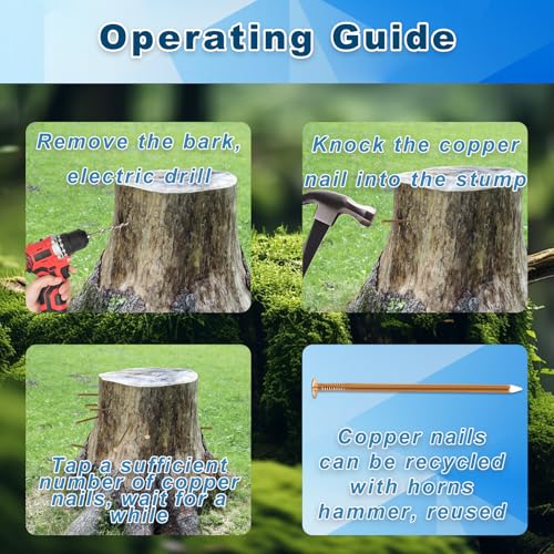 BMIROAMDFE solid pure copper masonry nails, 3.48-inch tree stump killing spikes, 26 steel and 22 copper nails