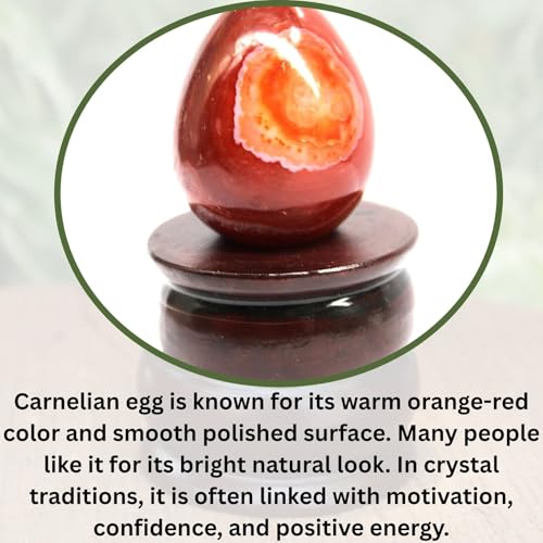 Jet Carnelian Egg 2 Inch – Natural Healing Crystal Stone for Energy, Creativity, Motivation, Root & Sacral Chakra Balancing, Reiki, Meditation, Home & Office Decor