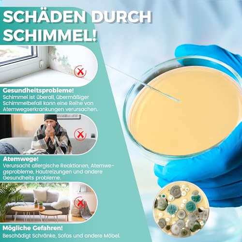 Mold Test Kit for Home - Mold Test for 6 Rooms - Mold Quick Test Room Air Kit for Indoor Air Quality - Includes Identification Guide & Instructions