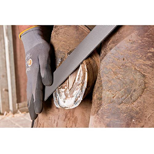 Pferd 3515 350 13180350 Hoof Plane Horse Hoof Plane