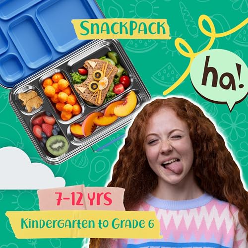 AOHEA Stainless Steel Bento Box Kids, Kids Metal Bento Lunch Box BPA Free Lunch Box Containers 304 Stainless Steel Bento Box for School and Office(Bule) Blue-05