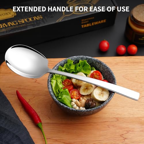 8 Piece Serving Spoons Set, 9.2-Inch Includes 8 Large Spoons LARGE 8 PCS C Silver