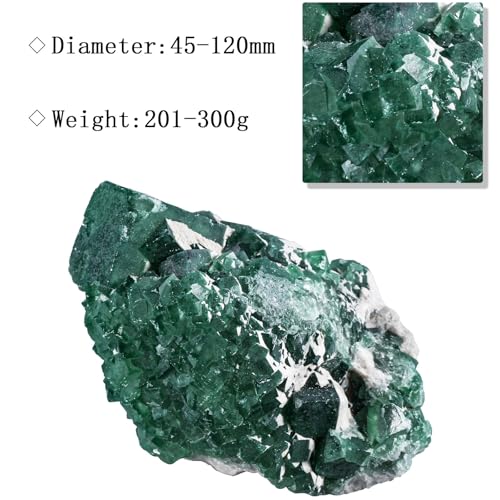Amogeeli Natural Green Fluorite Crystal for Home Office Tabletop Decor Rough Stone Mineral Specimen for Healing 0.44-0.66 lb