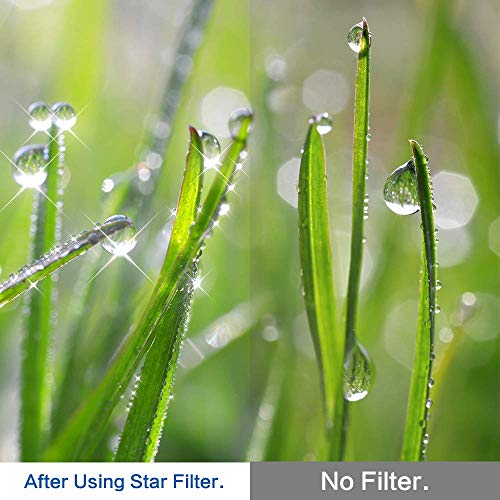 62mm Star Filter 4 Pieces Starburst Lens Filter(4 Points,6 Points,8 Points,12 Points) with Centre Pinch Lens Cap for Canon Nikon Sony Olympus Pentax and Other DSLR Cameras + 4 Slot Filter Pouch 62mm