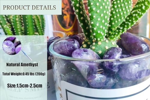 Amethyst Healing Crystals Stones Set Natural Bulk Irregular Crystals 01 Amethyst