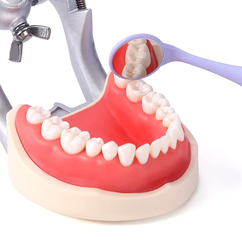 [Australia - AusPower] - 10pcs Dental Mouth Mirrors Double Sided, Autoclavable Premium Front Surface Exam Reflector, Oral Mirror Dentistry Instrument 