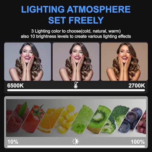 ALTSON 2 Packs Video Light Kit, LED Studio Light, 2700-6500K Dimmable Photography Lighting Kit with Tripod Stand&Phone Holder, 12" Rotating Streaming Light for Video Recording, Game Streaming, YouTube