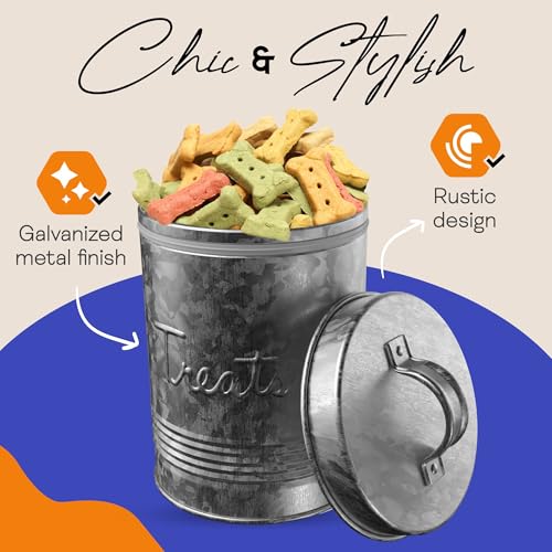 Amici Pet, Retro Treats Galvanized Relief Lettering Metal Storage Canister, Food Safe, Push Top, 72 Ounces (Pack of 2) Large/72 oz (Pack of 2)