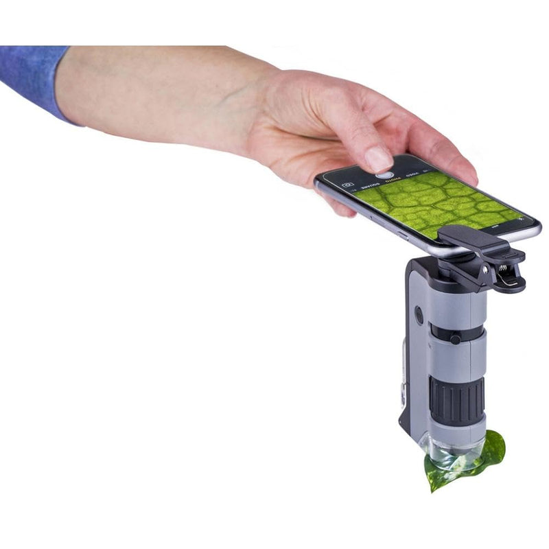 Carson MicroFlip 100-250x LED Illuminated Pocket Microscope with Smartphone Digiscoping Adapter Clip 100x-250x, Pack of 1