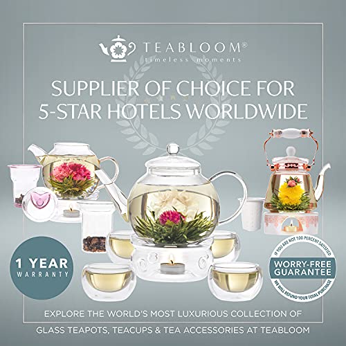 Teabloom Royal Teacup and Saucer Set 2-Pack – 12 OZ/ 350 ML Capacity – Glass Mug Set – Premium Borosilicate Glass – Durable and Heat Resistant 2 Count (Pack of 1)