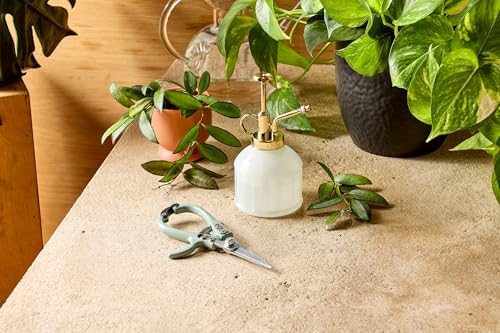 Modern Sprout sage pruning shears and plant mister botanical kit for plant care