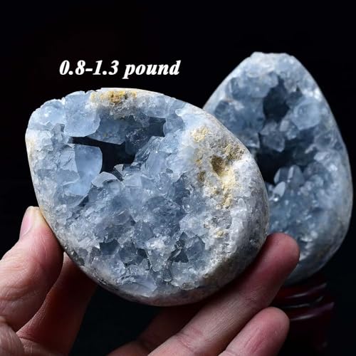 Natural Blue Celestite Geode Egg Healing Crystal Stone Collection Mineral Specimen with Stand Home Office Decor 0.6-0.8 Pound Dark Blue
