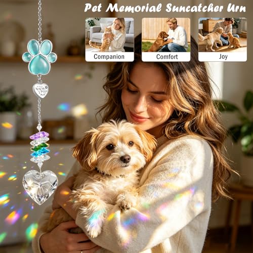 Dletay Pet Urns for Dogs Cat Ashes Crystal Suncatcher Heart Shaped Memorial Cremation Keepsake Bereavement Remembrance Paw Print Pet Loss Rainbow Bridge Paw-Sun