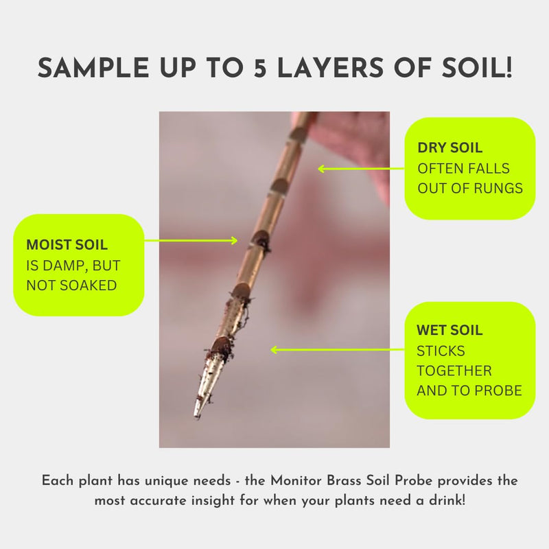 Monitor Brass Soil Probe, Soil Sampler and Plant Moisture Meter, No Batteries Required, Root Aerator and Plant Water Monitor Large