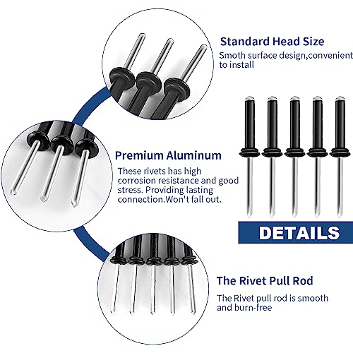 HLOGREE 3/16 x 1 inch silver tri-fold kayak blind rivets, waterproof, 100-piece set