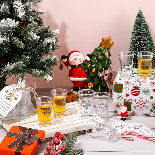 Vesici 40 Sets Employee Coworker Christmas Bulk Gifts Shot Glasses, Light