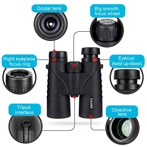 10x42 Binoculars for Adults - Professional HD Roof BAK4 Prism Lens Binoculars for Bird Watching, Hunting, Travel, Sports, Cruise, with Carrying Bag (1.1Lbs) New Model