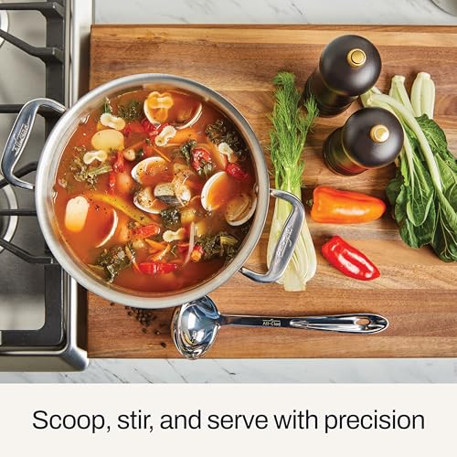 All-Clad Stainless Steel 9.5-inch Ladle, Kitchen Tools Silver 9.5 inches - 1 Pack