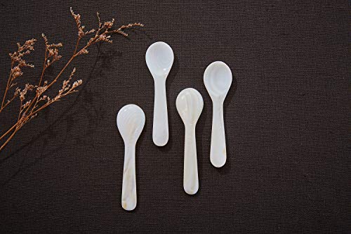 DUEBEL Set of 6 White Mother of Pearl MOP Caviar Spoons for Caviar, Egg, Icecream, Coffee Serving (White, 11x2.5cm)