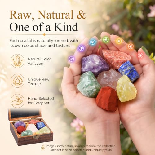 Hopeseed 7 Chakra Healing Crystals Set, Natural Raw Stones, Gift Box