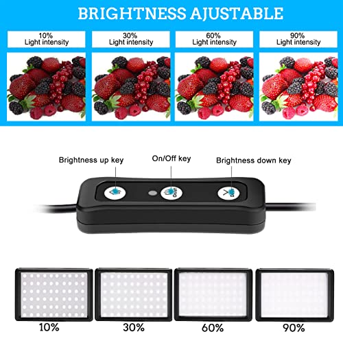 LED Video Light 2-Pack, 5600K Dimmable USB Camera Lighting Kit