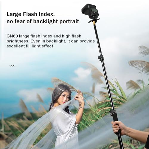 Godox TT600 2.4G Wireless Flash Speedlite Master/Slave Flash with Built-in Trigger System Compatible for Canon Nikon Pentax Olympus Fujifilm Panasonic (TT600)