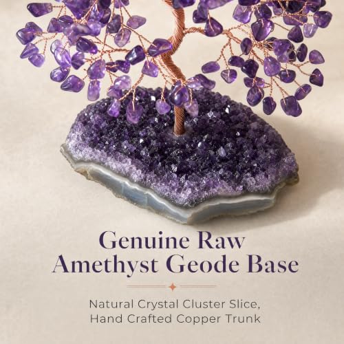 Authentic Amethyst Crystal Tree with Raw Amethyst Base Purple