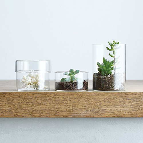 KINTO SCHALE 25763 Storage Containers and Canisters, Glass Case, 3.9 x 5.1 inches (100 x 130 mm) 100×130mm