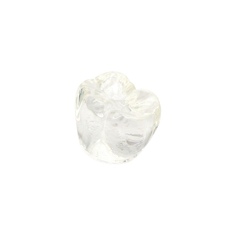 [Australia - AusPower] - 1 Pc Dental Model #2020 01 - Clear Implant Model Dental Implant Demonstration Model Teeth Study Teach 