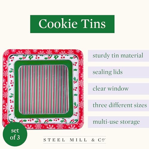 Steel Mill & Co. Square Tin Cookie Set of 3, Snowflake