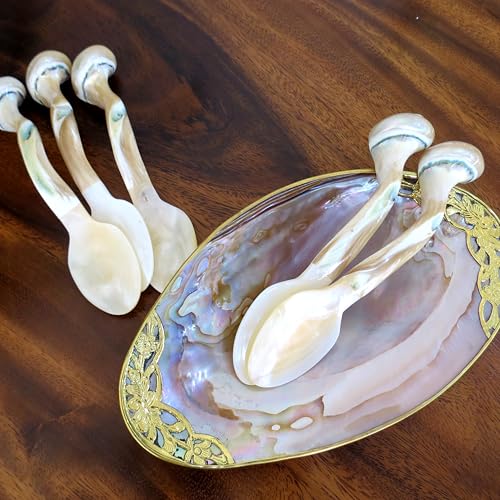 Set of 02 Spoons Shell Spoon Mother of Pearl Caviar Spoons W Round Handle for Caviar, Egg, Ice Cream, Coffee, Restaurant Serving (2 Pieces,7 Inches)