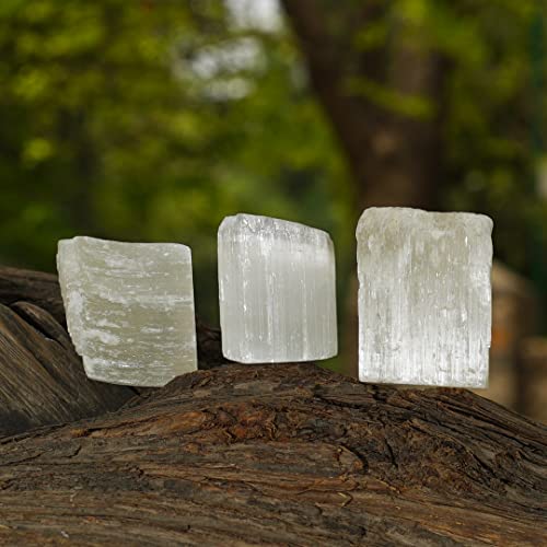 Zodiac Sign Taurus Crystal Gift Set of 5, Zodiac Birth Sign and Horoscope Stones with Selenite and Natural Crystals, Shungite Protection Chip, Astrology Gift for Meditation and Décor